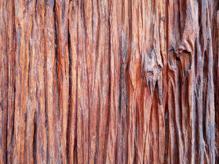 Old wood plank texture closeup background, Nature abstract texture backgrounds.の写真素材