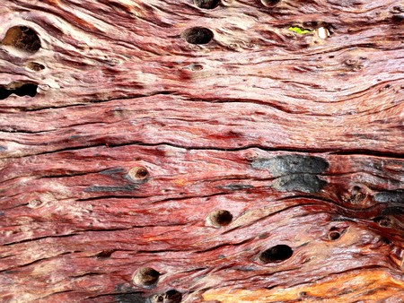Old wood plank texture closeup background, Nature abstract texture backgrounds.の写真素材