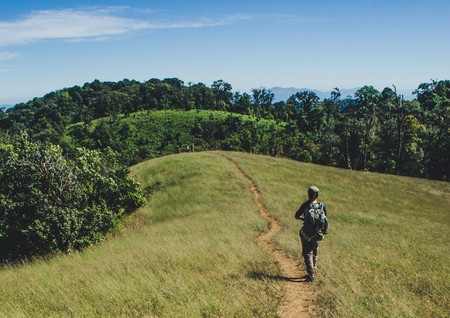 Women is walking and looking into the distance. Forest and mountains in the backgroundの写真素材