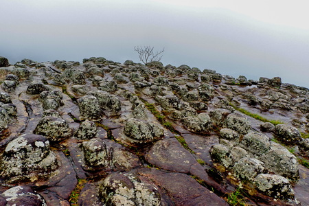 The Rocks and trees in the fog, Phu Hin Rong Kla National Parkの写真素材
