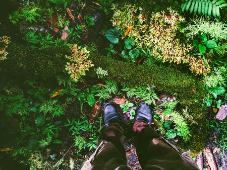 human legs standing on fern field