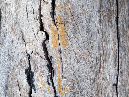 Vintage surface wood table and rustic texture backgroundの写真素材