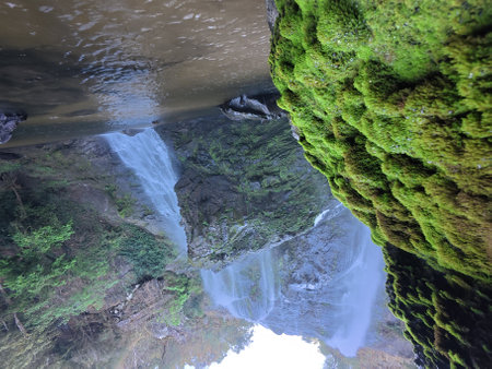 Waterfall and green moss in the forest, closeup of photo