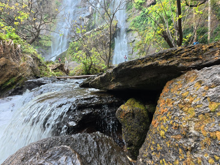 Waterfall in the forest, Mossy rocks and waterfall in the deep forest on the mountainの写真素材
