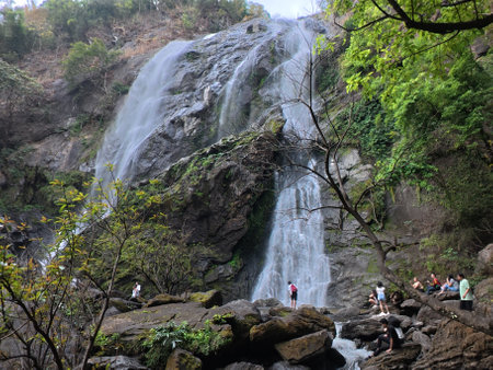 Waterfall in the forest, Mossy rocks and waterfall in the deep forest on the mountainの写真素材