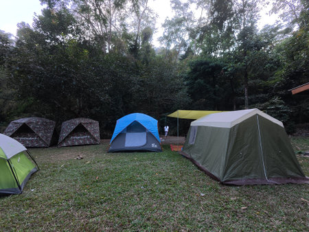 Camping in the forest at Doi Inthanon National Park, Chiang Mai, Thailandの写真素材