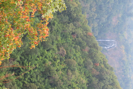 Autumn leaves and water fall in the forest, closeup of photoの写真素材