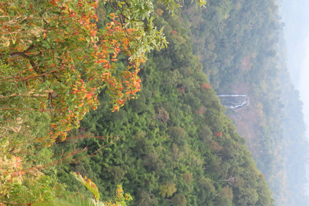 Mountain landscape in the autumn, closeup of photo, Chinaの写真素材