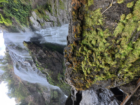 waterfall in the forest, photo as a background, digital imageの写真素材