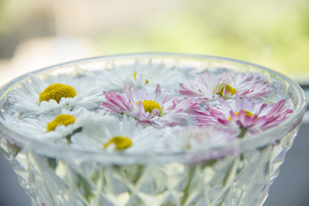 Beautiful meadow flowers bouquet, glass cup with herbal tea and books close up on table in garden, abstract natural background. summer season. Tea party. reading, relax time. template for designの写真素材
