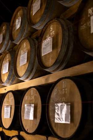 Worker in wine, whiskey or brandy warehouse sorting and rotating barrel. Two winemakers in vintage,...