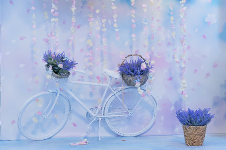 Decorative background made of pink tulle with backlightingの写真素材