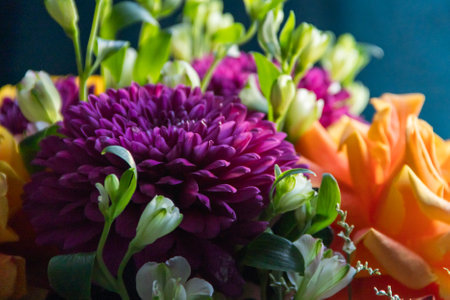 lilac dahlias with yellow roses in a bouquet on a dark background close up. bouquet of dahlias and rosesの写真素材