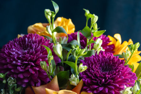 lilac dahlias with yellow roses in a bouquet on a dark background close up. bouquet of dahlias and rosesの写真素材