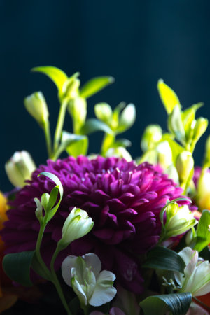 lilac dahlias with yellow roses in a bouquet on a dark background close up. bouquet of dahlias and rosesの写真素材
