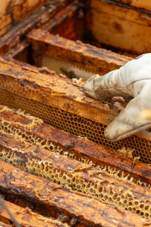 A beekeeper in protective gear uses a smoker to inspect a wooden beehive in a lush outdoor setting.