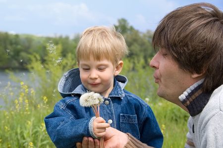 little boy and his father play with dandelionsの写真素材
