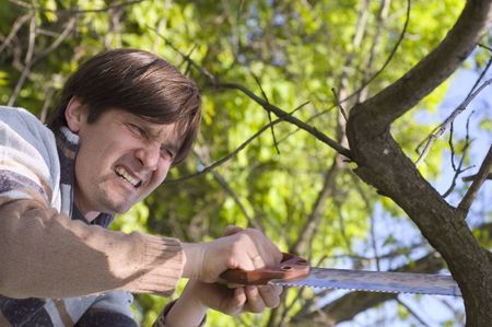 man sawing a branch of tree with an handsawの写真素材