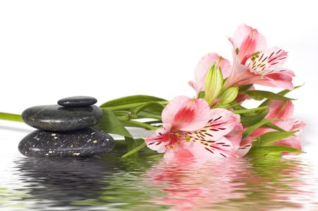 Spa still life with wild pink orchid isolated on white backgroundの写真素材