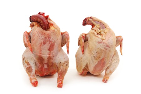 two chickens raw fresh isolated on white backgroundの写真素材