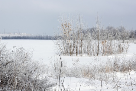 winter nature beautiful landscapeの写真素材