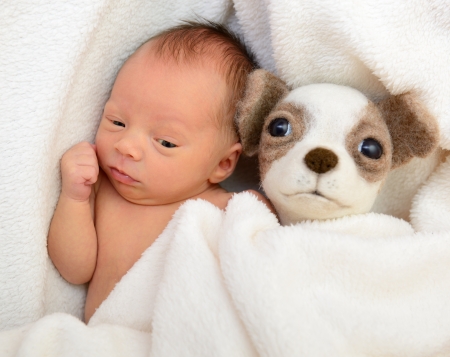 newborn baby with toy handmade dog, cute infant in in bed with woolen friendの写真素材