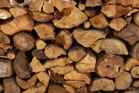 fire wood, log, billet 