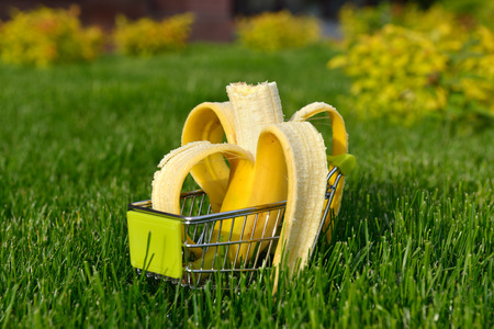 mini shopping cart with banana outdoor in green grassの写真素材