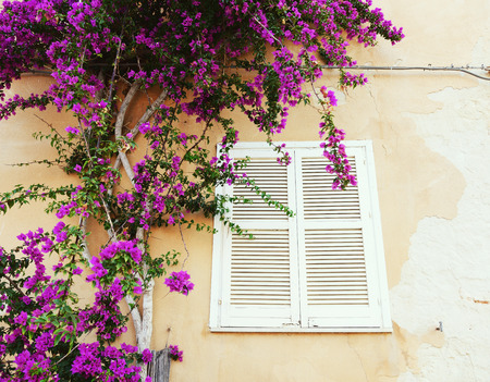 Mediterranean house, Italy, Sicily. Detail with wall, window and flowers.の写真素材