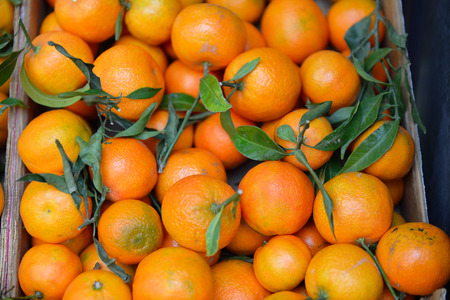 Ripe mandarines in marketの写真素材