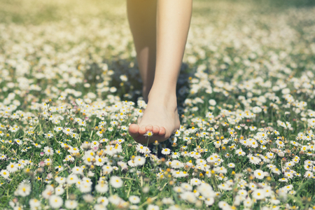 Child's feet in daisy closeup view. Shoeless boy walking on spring meadow. Little boy lying on summer meadow green grass with daisy, image tonedの写真素材