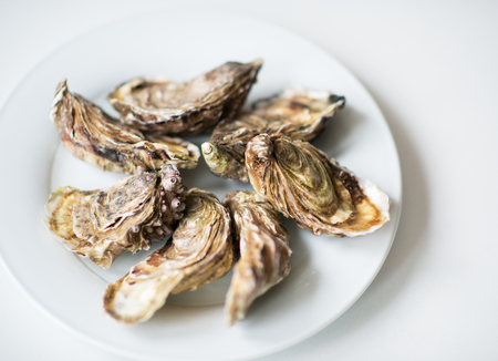 Oysters. Raw fresh oysters are on white round plate, image isolated, with soft focus. Restaurant...