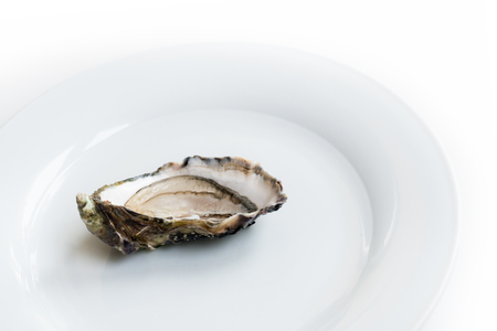 Oysters. Raw fresh oysters are on white round plate, image isolated, with soft focus. Restaurant delicacy.の写真素材