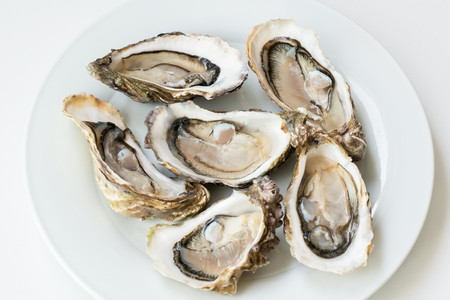 Oysters. Raw fresh oysters are on white round plate, image isolated, with soft focus. Restaurant delicacy.の写真素材