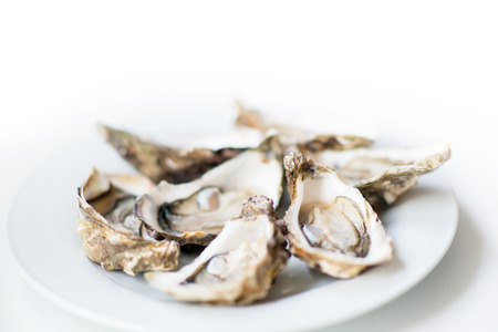 Oysters. Raw fresh oysters are on white round plate, image isolated, with soft focus. Restaurant...