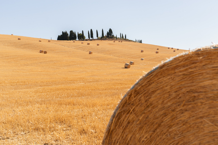 Harvestimg in Tuscany, Italy. Stacks of hay on summer field. Hay and straw bales in the end of summerの写真素材