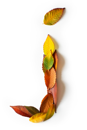Letter J of colorful autumn leaves. Character J mades of fall foliage. Autumnal design font concept. Seasonal decorative beautiful type mades from multi-colored leaves. Natural autumnal alphabet.の写真素材