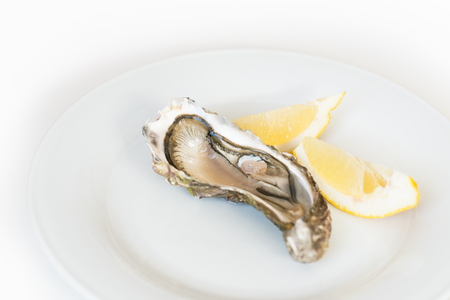 Fresh oyster with lemon. Raw fresh oyster on white round plate, image isolated, with soft focus. Restaurant delicacy. Saltwater oyster, soft focusの写真素材
