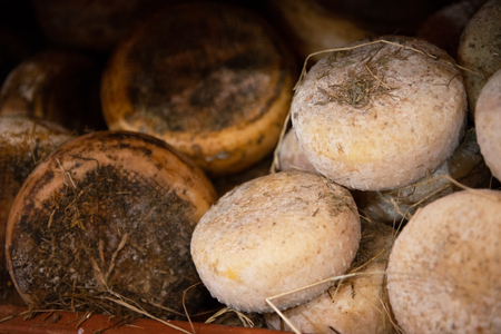 Heads of cheese of Pienza, Italia. Traditional tuscan cheese on the shelf  in market, soft focus.の写真素材
