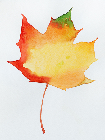 Watercolor autumn leaf. Fall foliage. Autumnal design. Seasonal decorative beautiful multi-colored drawing leaf. Original artwork.の写真素材
