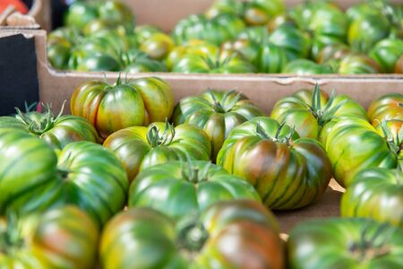 Fresh raw green tomatoes sold on outdoor market. Farm seasonal spanish fruits and vegetablesの写真素材