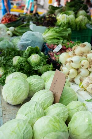 White cabbage, lettuce, onions and other vegetables and fruits are sold at the seasonal farmers market in Spainの写真素材