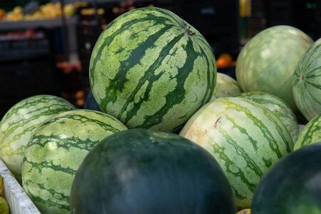 Fresh raw ripe juicy sweet watermelon sold on outdoor market. Farm seasonal spanish fruits and...