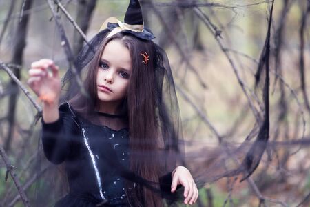 Beautiful little girl with spider in her long brunette hair, dressed in a witch dress and hat walks in fall forest with fear expressions. Halloween horror. Witches in darknessの写真素材