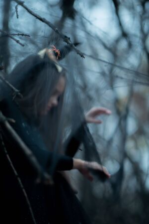 Llittle girl dressed in a witch dress and hat walks in fall forest among the web with spiders. Halloween horror. Witches in darknessの写真素材