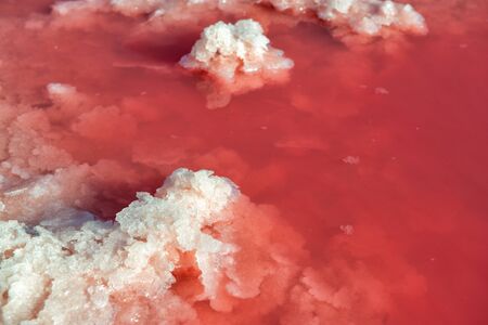 Salt mining industry. Salty pink lake with crystals of salt. Extremely salty pink lake, colored by microalgae with crystalline salt depositions in Torrevieja, Spain, Europeの写真素材