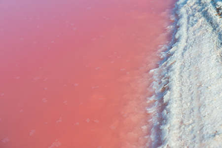 Extremely salty pink lake with crystals of salt, colored by microalgae with crystalline salt...