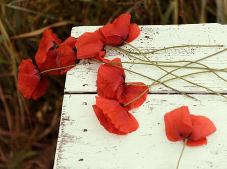Beautiful poppy flower is on the grunge obsolete wooden background with copy spaceの写真素材