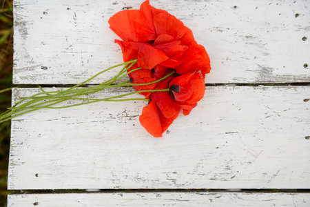 Beautiful poppy flower is on the grunge obsolete wooden background with copy spaceの写真素材
