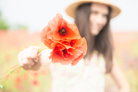 Young beautiful happy woman with bunch of poppy on field, summer outdoor.の写真素材